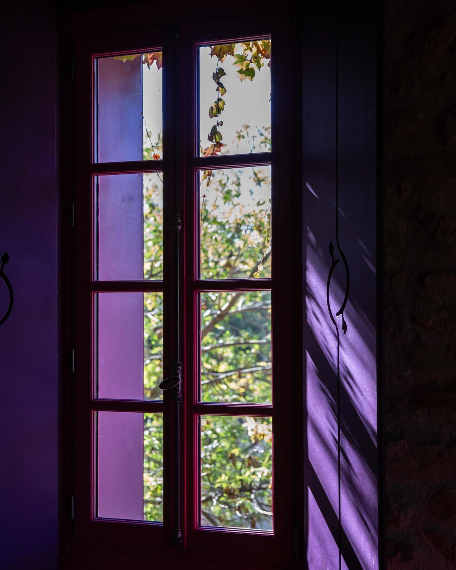 Village Castigno - Wine Hotel&Resort Assignan Esterno foto